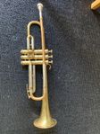 Trumpet - Imperial