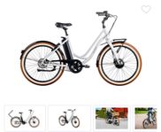 Ecoride Ambassador Elcykel