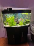 Juwel Vision 180l, Helialux Spectrum m. utanpå pump/filter