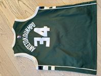 Basketlinne Antetokounmpo Milwaukee Bucks