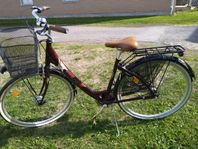 Trek 28 tum damcykel