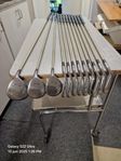 Spalding damset