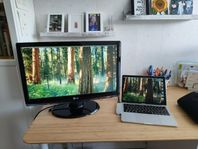 LG bildskärm 24", 1920x1080 (Flatron W2453V)