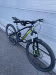 Canyon Nerve Al 7.0