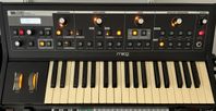 Moog Little Phatty Stage 2