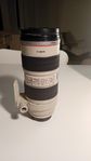 Canon EF 70-200 L IS USM