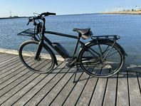Batavus Harlem E-go