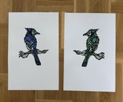 Illustration - fåglar 