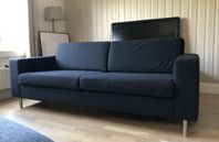 Bolia scandinavia (leverans)