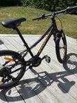 Specialized Hot Rock Mtb 20 tum