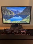 144Hz datorskärm, 24 tum
