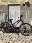 MTB Scott Jr 20, 20”