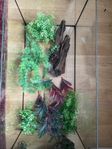 Akvarium