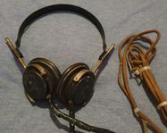 Radiolurar