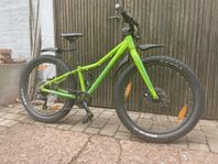 Scott Roxter 24”