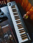 m-audio keystation 49 mk3