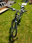 Trek damcykel 
