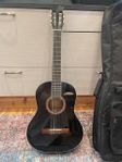 Akustisk gitarr, gitarrfodral, elgitarr, 2 förstärkare