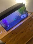 Akvarium med tillbehör 