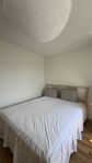 BJÖRKSNÄS Bed frame, birch/birch veneer/Lönset, 160x200 c