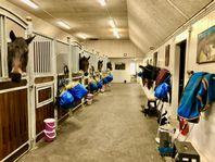 Stallplatser på Bjärehalvön