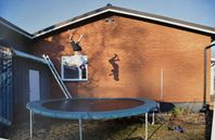 Studsmatta/Trampolin - Bounce 14 HD