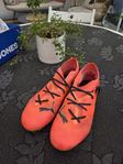 Puma FTR7 stl 37
