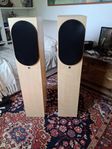 Högtalare Audio Pro