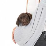 Bärsele Trixi till hund eller katt. 