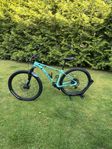 Bianchi grizzly 29.1