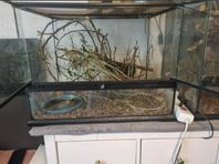 Terrarium med massa vandrade pinnar