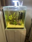 30L akvarium 