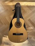 Akustisk gitarr
