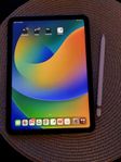 iPad 10.9" (2022) + Apple Pencil – Fint skick – kvitto
