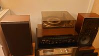 Beovox S45 T6302