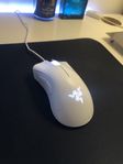 Razer mus