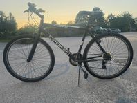 Spokes Roller 21 Unisex