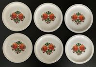 Vintage! 6st blommiga assietter - Winterling Röslau Bavaria
