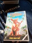 dvd film chihuahuan liten men tuff