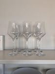 6 wine glasses
