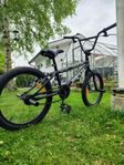 bmx 20"