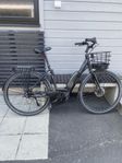 Ecoride Ambassador AXS M-8 e6100