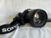 Sony A7R III + Sigma 85mm f/1.4 DG DN