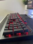 Razer Blackwidow V3| Tangentbord