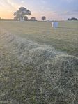 hösilage