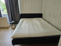säng 160