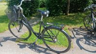 damcykel Winther
