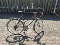  Damracer Crescent Världsmästarcykel 28 tum, 12 växlar