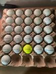 26 stycken Titleist ProV1 / V1x