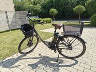 Ecoride Ambassador elcykel